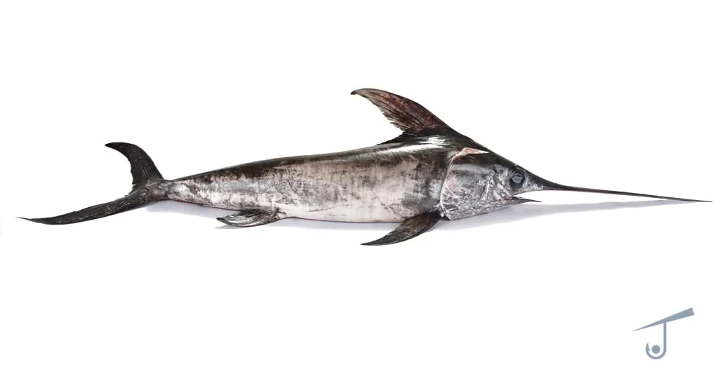 Swordfish - Cleaned & Gutted — 500g pack