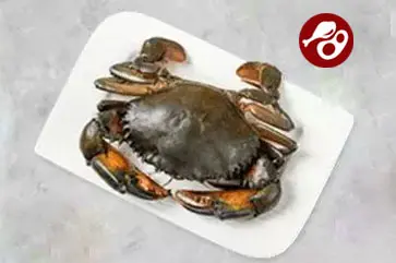 Crab - Cleaned & Gutted — 500g pack
